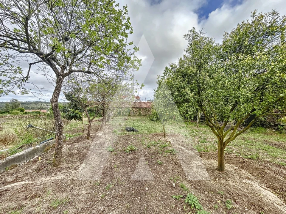 Terreno para Venda em Parceiros e Azoia Foto 10