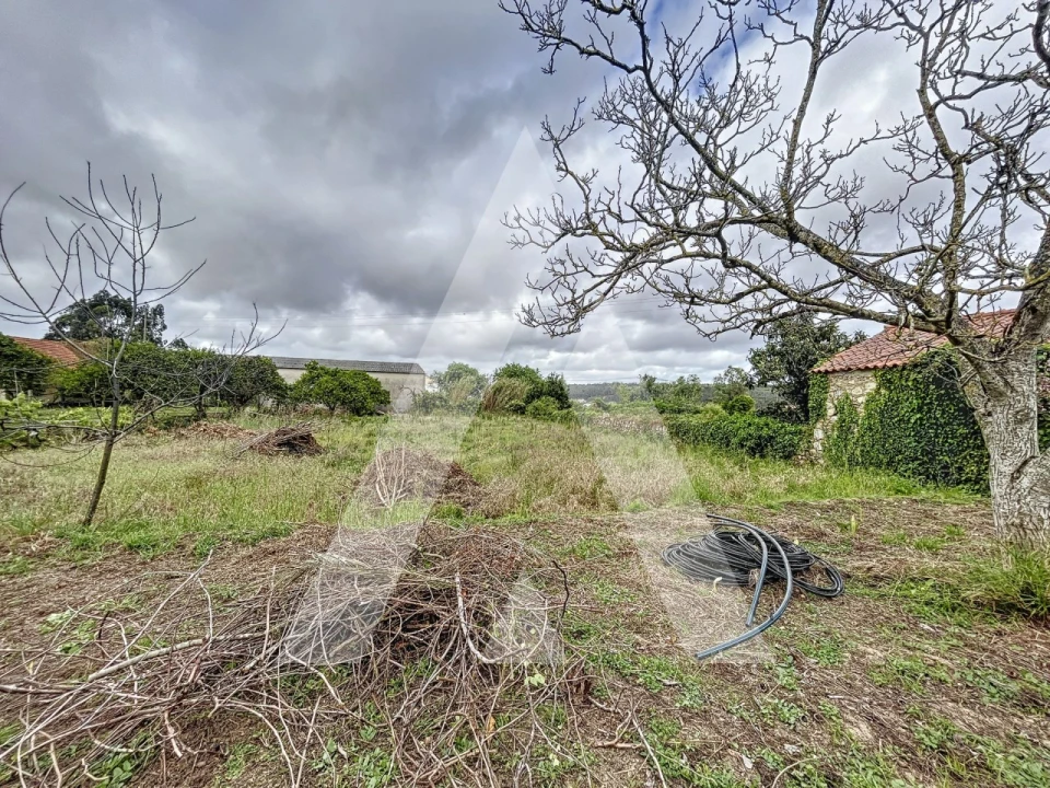 Terreno para Venda em Parceiros e Azoia Foto 13