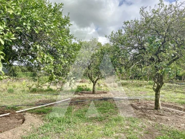 Terreno para Venda em Parceiros e Azoia