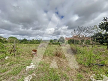 Terreno para Venda em Parceiros e Azoia