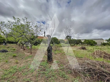 Terreno para Venda em Parceiros e Azoia