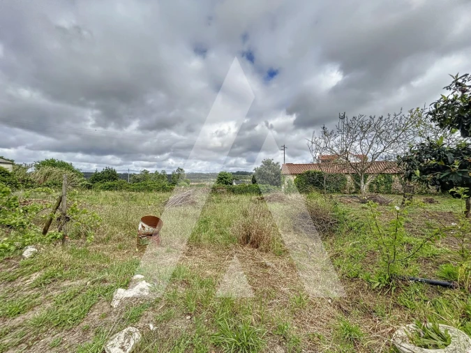 Terreno para Venda em Parceiros e Azoia Foto 8