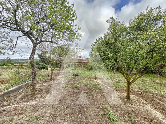 Terreno para Venda em Parceiros e Azoia Foto 10
