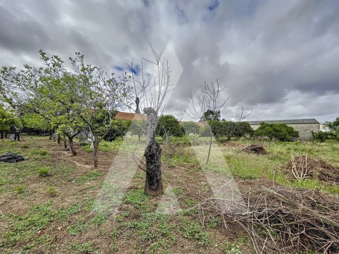 Terreno para Venda em Parceiros e Azoia Foto 14