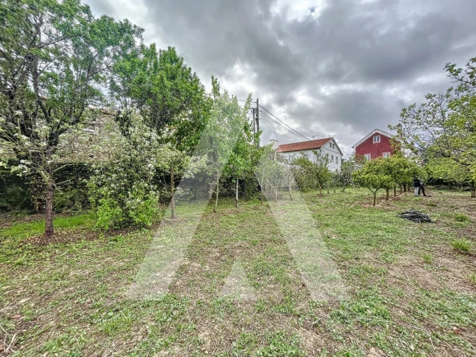 Terreno para Venda em Parceiros e Azoia Foto 16