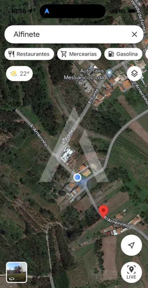 Terreno para Venda em Bustos, Troviscal e Mamarrosa