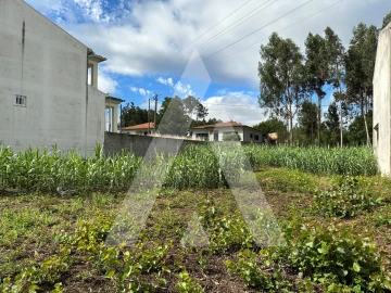 Terreno para Venda em Bustos, Troviscal e Mamarrosa