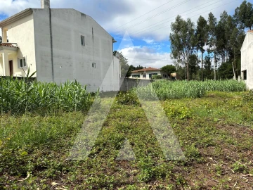 Terreno para Venda em Bustos, Troviscal e Mamarrosa