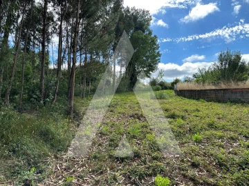 Terreno para Venda em Bustos, Troviscal e Mamarrosa