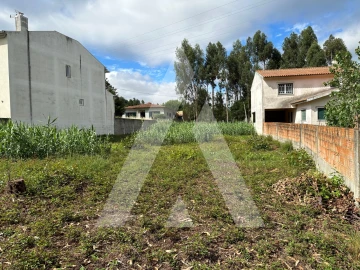 Terreno para Venda em Bustos, Troviscal e Mamarrosa