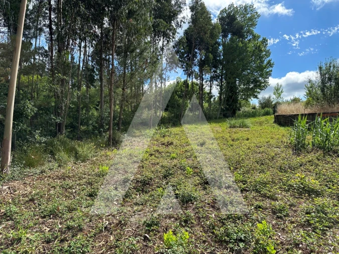 Terreno para Venda em Bustos, Troviscal e Mamarrosa Foto 2