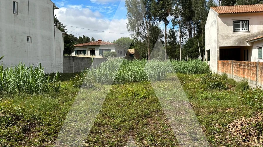 Terreno para Venda em Bustos, Troviscal e Mamarrosa