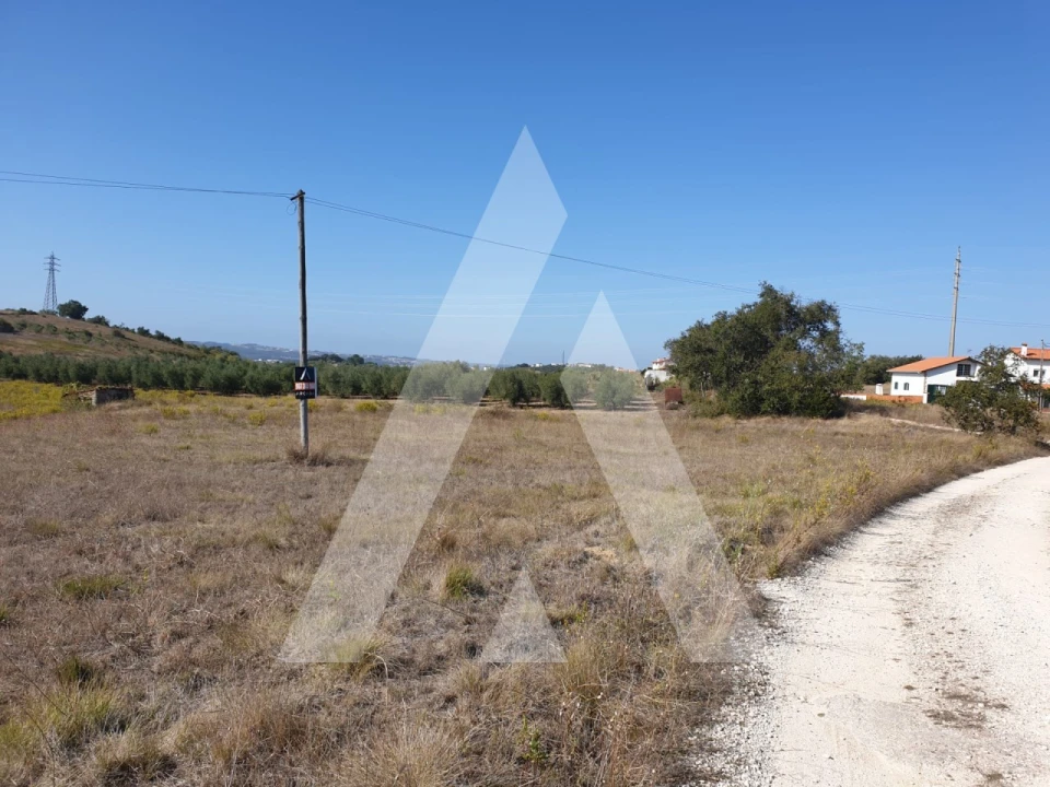 Terreno para Venda em Batalha Foto 4
