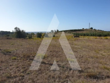 Terreno para Venda em Batalha