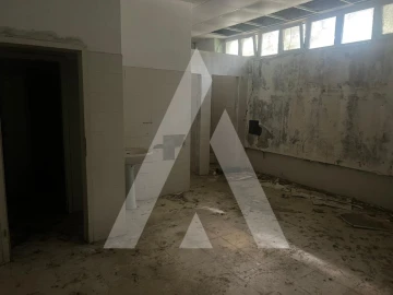 Armazém para Venda em Pedrogão Grande