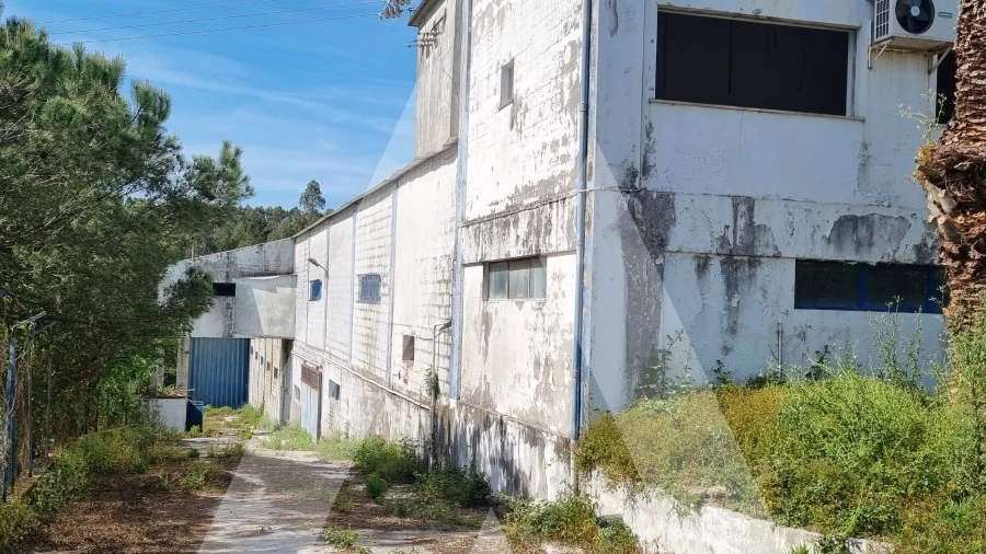 Armazém para Venda em Maceira