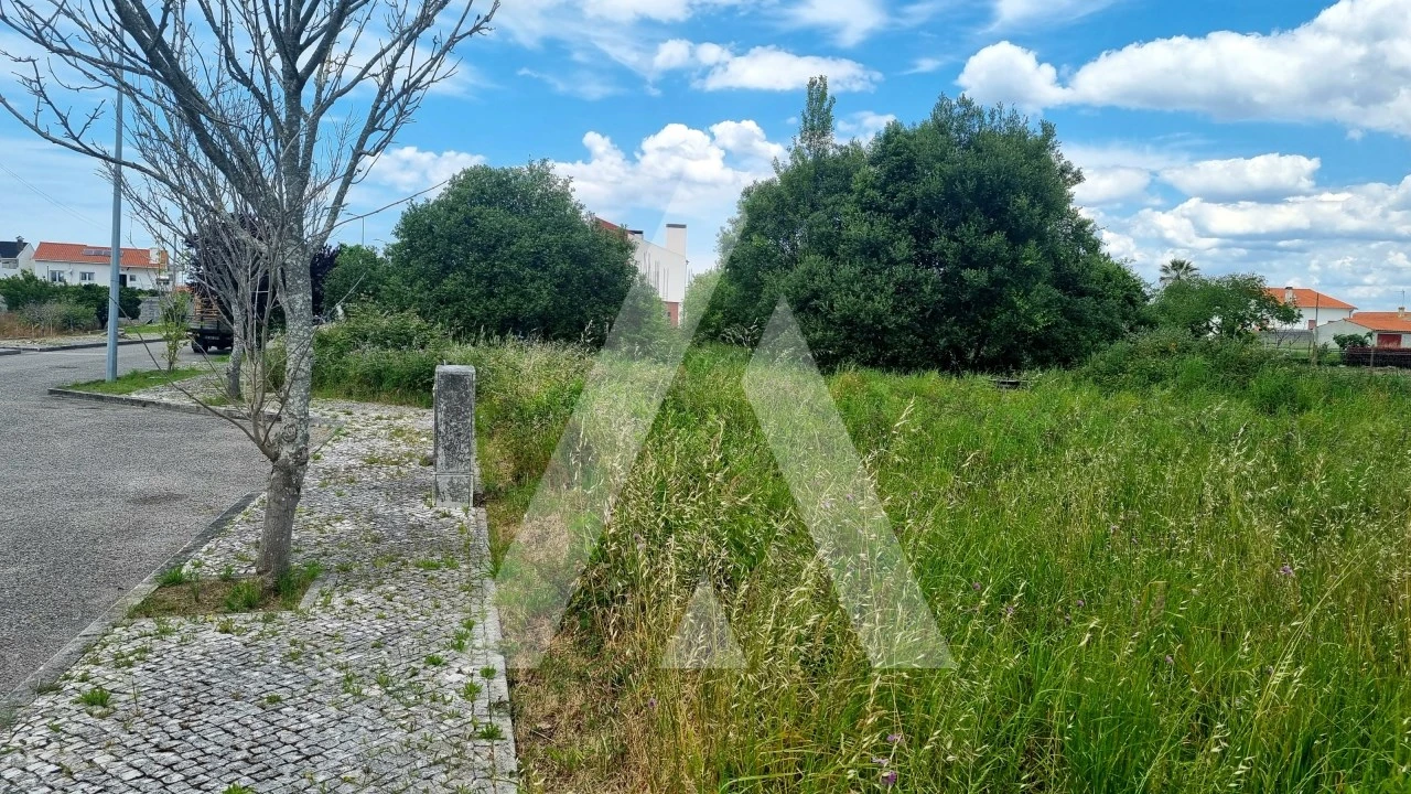 Terreno para Venda em Paião Foto 8