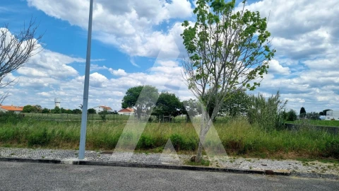 Terreno para Venda em Paião