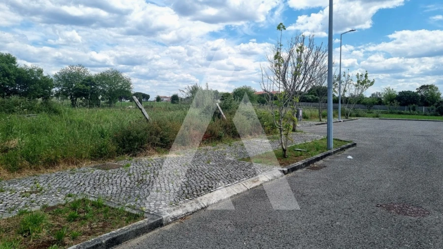 Terreno para Venda em Paião Foto 19