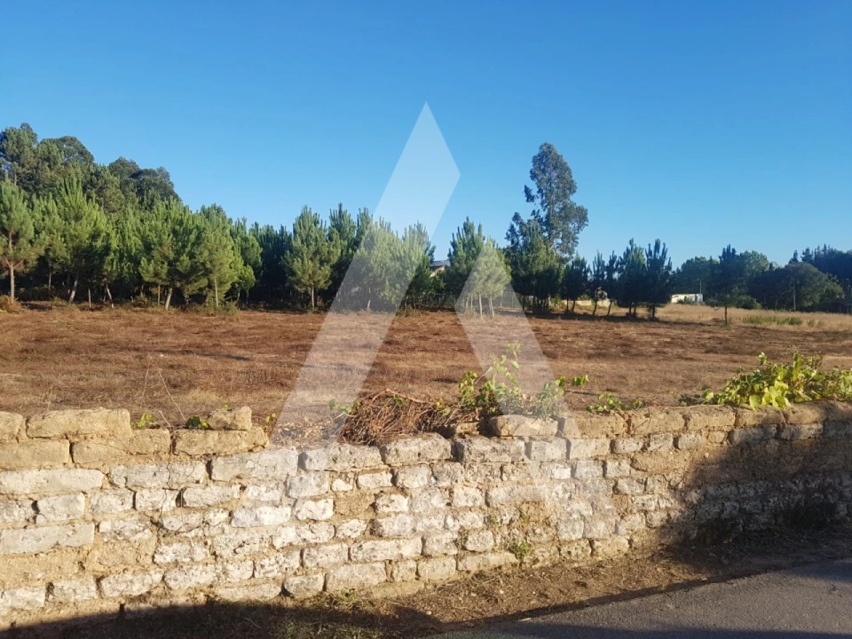Terreno para Venda em Sangalhos Foto 1