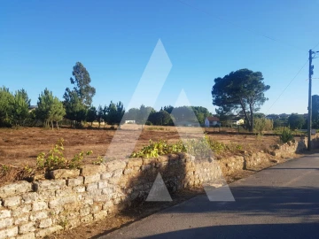 Terreno para Venda em Sangalhos
