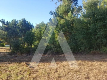 Terreno para Venda em Sangalhos