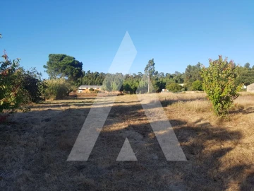 Terreno para Venda em Sangalhos