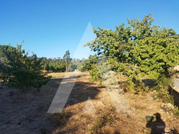 Terreno para Venda em Sangalhos