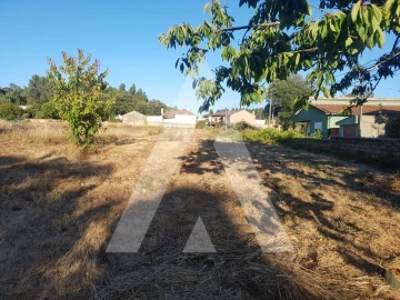 Terreno para Venda em Sangalhos