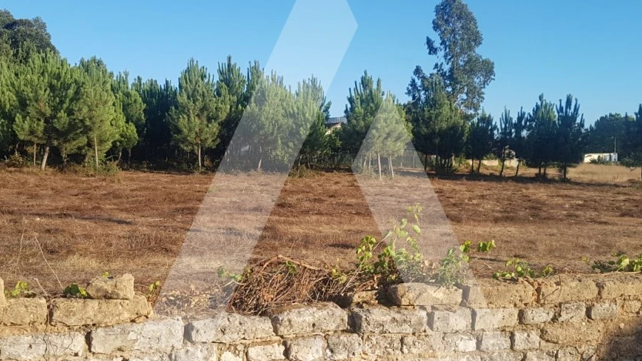 Terreno para Venda em Sangalhos