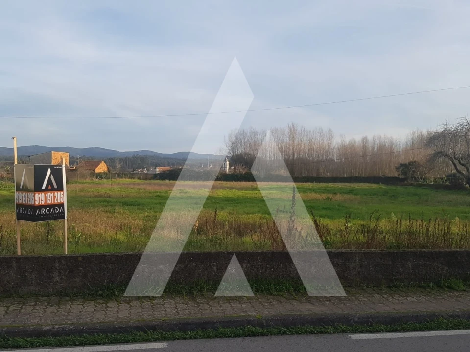 Terreno para Venda em Avelãs de Cima Foto 2