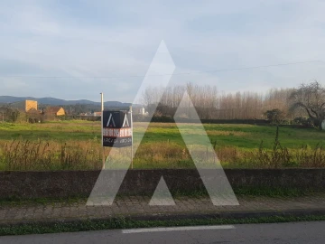 Terreno para Venda em Avelãs de Cima