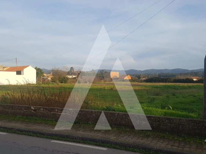Terreno para Venda em Avelãs de Cima Foto 4