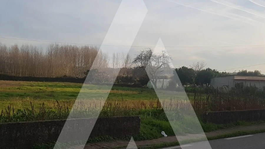 Terreno para Venda em Avelãs de Cima