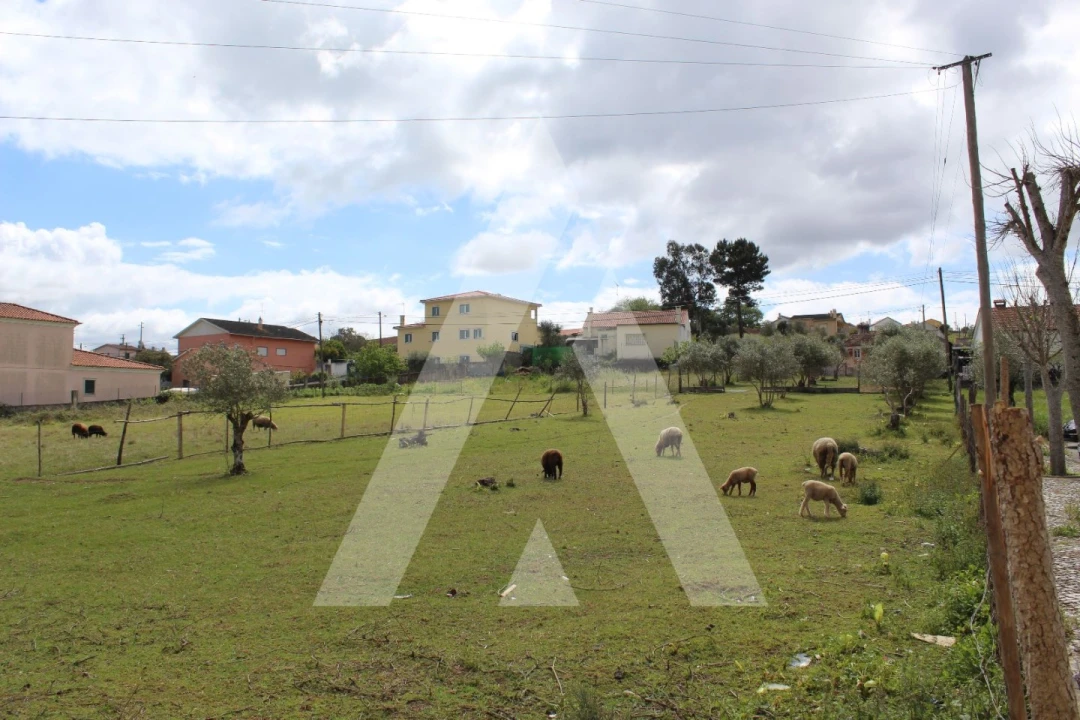 Terreno para Venda em Parceiros e Azoia Foto 1