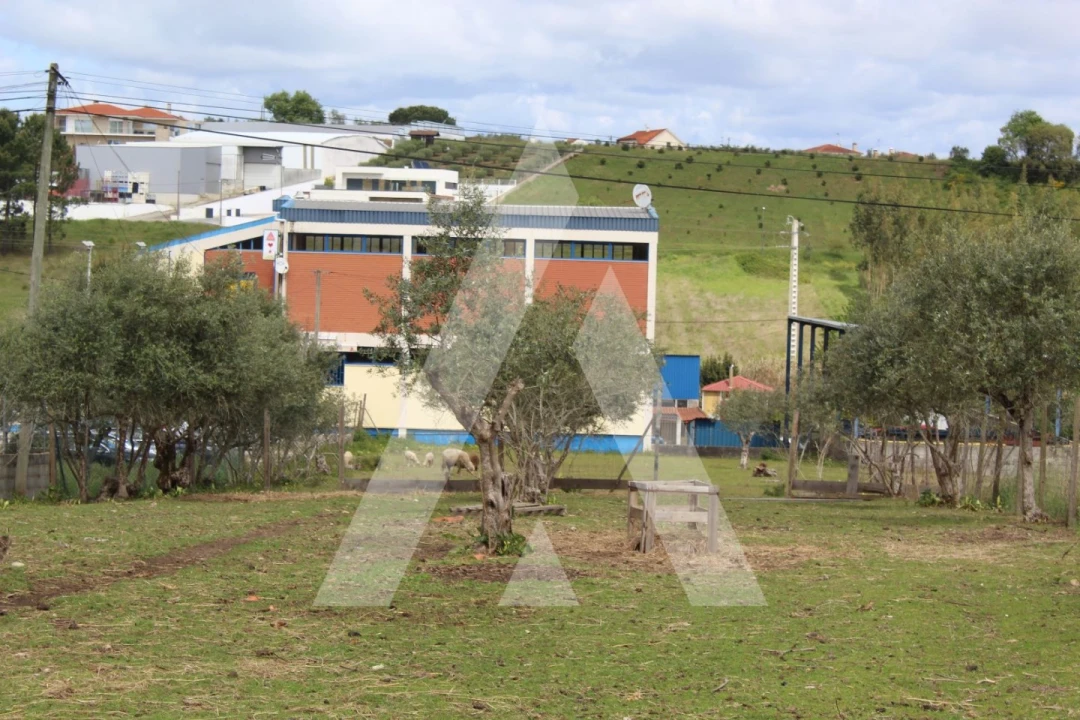 Terreno para Venda em Parceiros e Azoia Foto 2