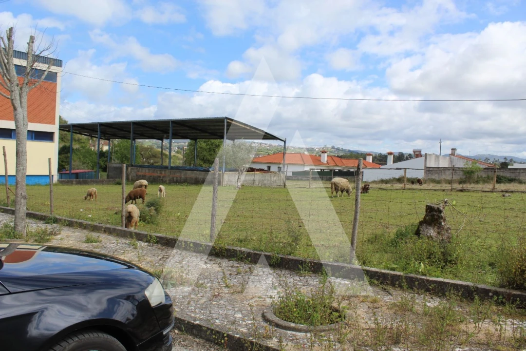 Terreno para Venda em Parceiros e Azoia Foto 6