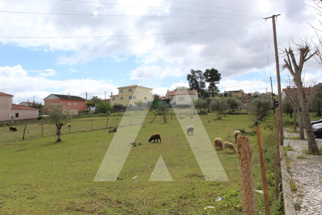 Terreno para Venda em Parceiros e Azoia Foto 7