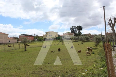 Terreno para Venda em Parceiros e Azoia
