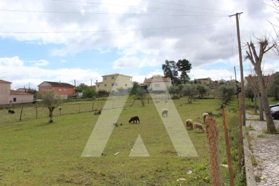 Terreno para Venda em Parceiros e Azoia