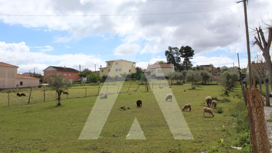 Terreno para Venda em Parceiros e Azoia