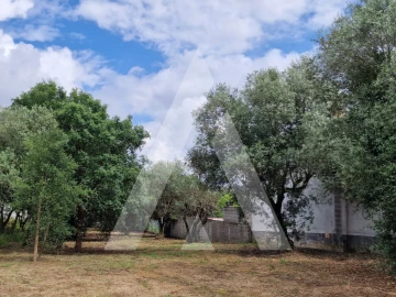 Terreno para Venda em Souto da Carpalhosa e Ortigosa