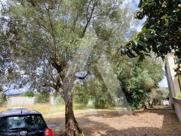 Terreno para Venda em Souto da Carpalhosa e Ortigosa