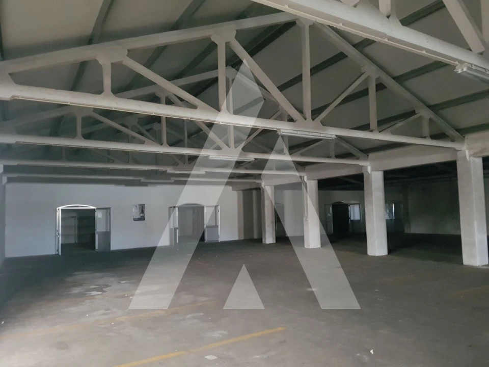 Negócio para Arrendamento em Sangalhos Foto 21