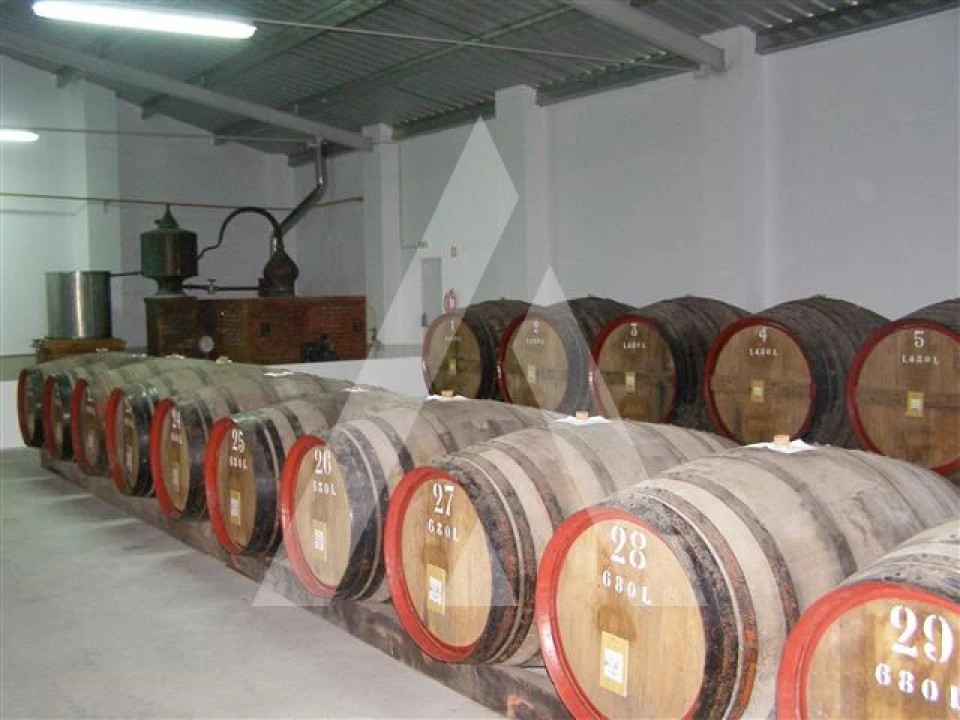 Negócio para Venda em Sangalhos Foto 1