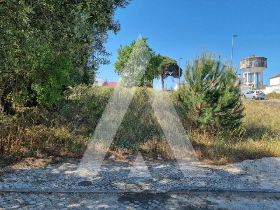 Terreno para Venda em Cartaxo e Vale da Pinta Foto 11
