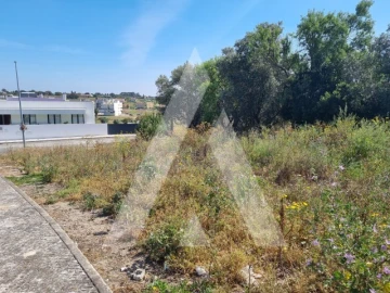 Terreno para Venda em Cartaxo e Vale da Pinta
