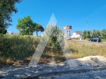 Terreno para Venda em Cartaxo e Vale da Pinta