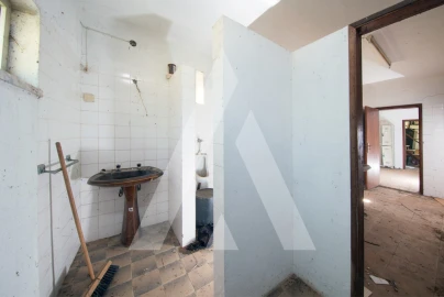 Armazém para Venda em Redinha