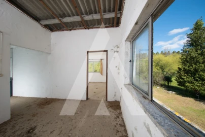 Armazém para Venda em Redinha